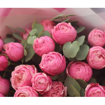 7 bush peony roses Silva pink with eucalyptus