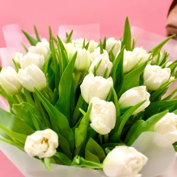 31 white peony tulips