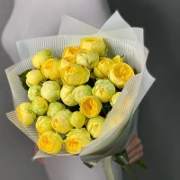 11 пион бұтасының раушандары Пион көпіршіктері